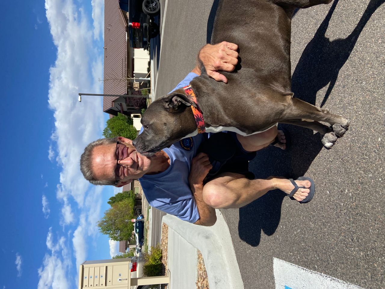 Pet travel photo 3