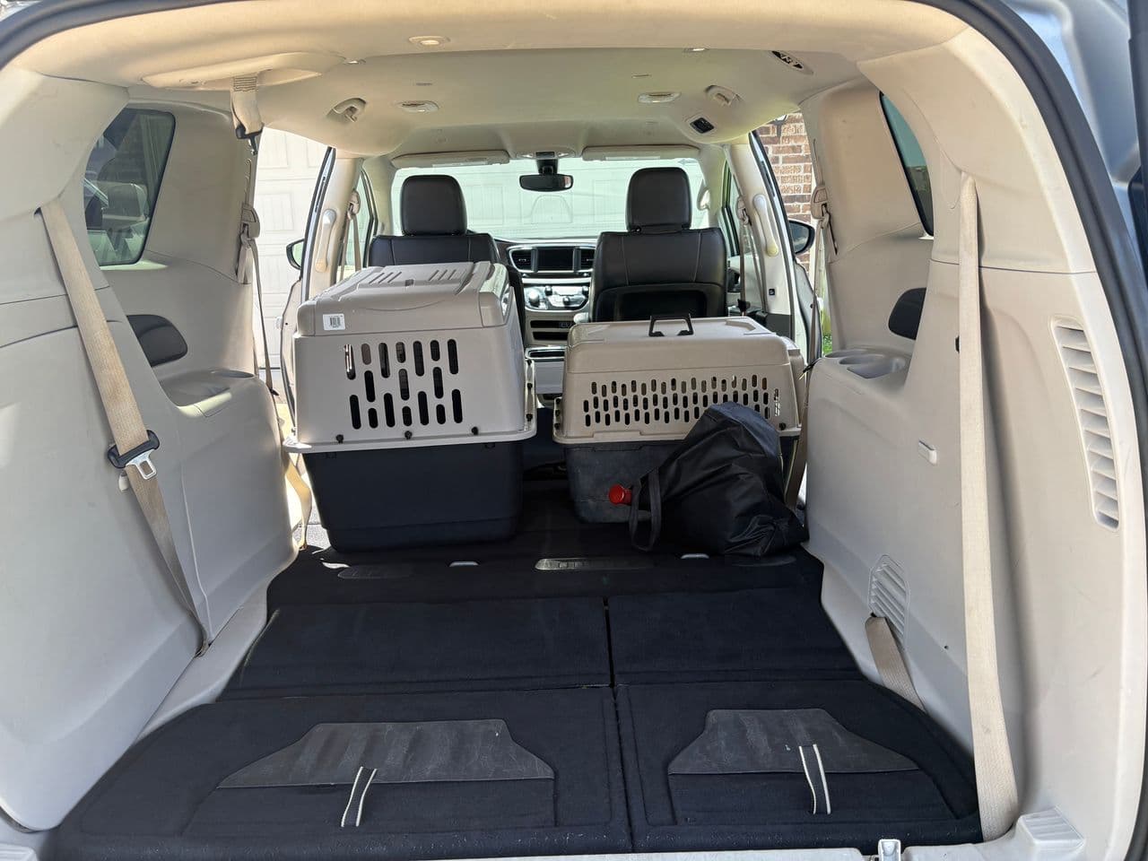 Pet travel photo 4