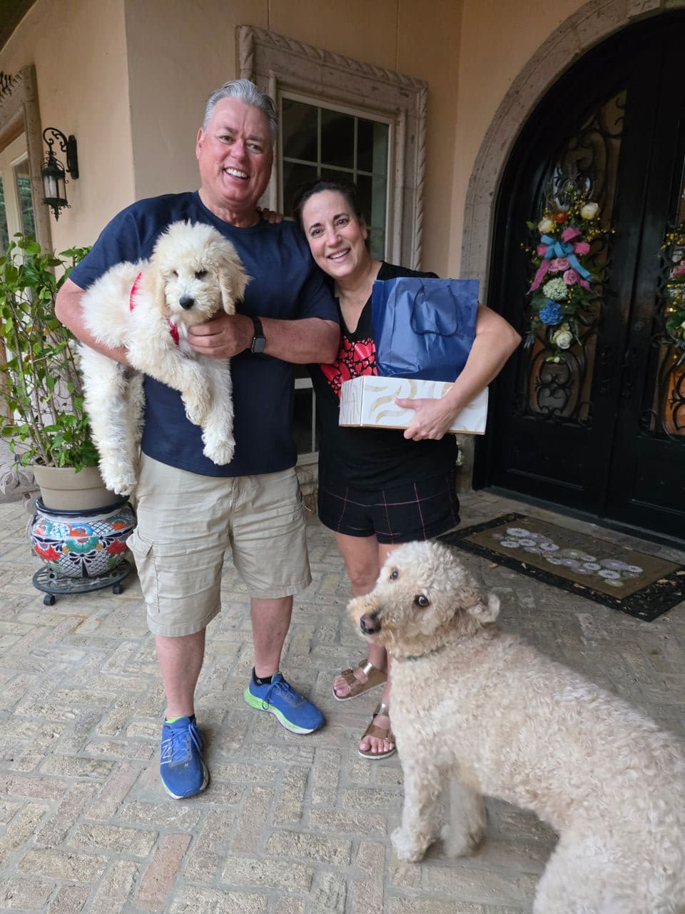 Pet travel photo 2