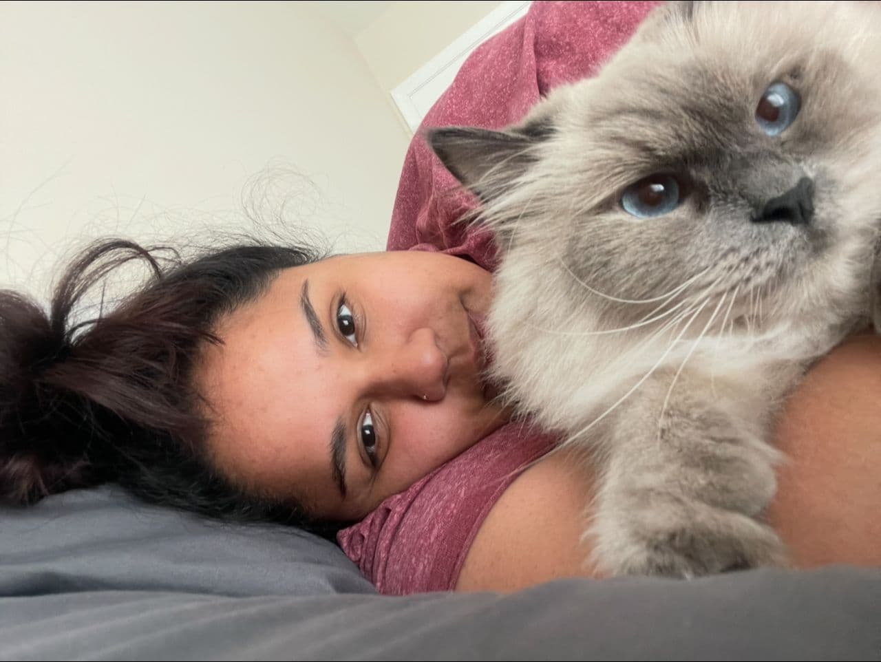 Pet travel photo 2