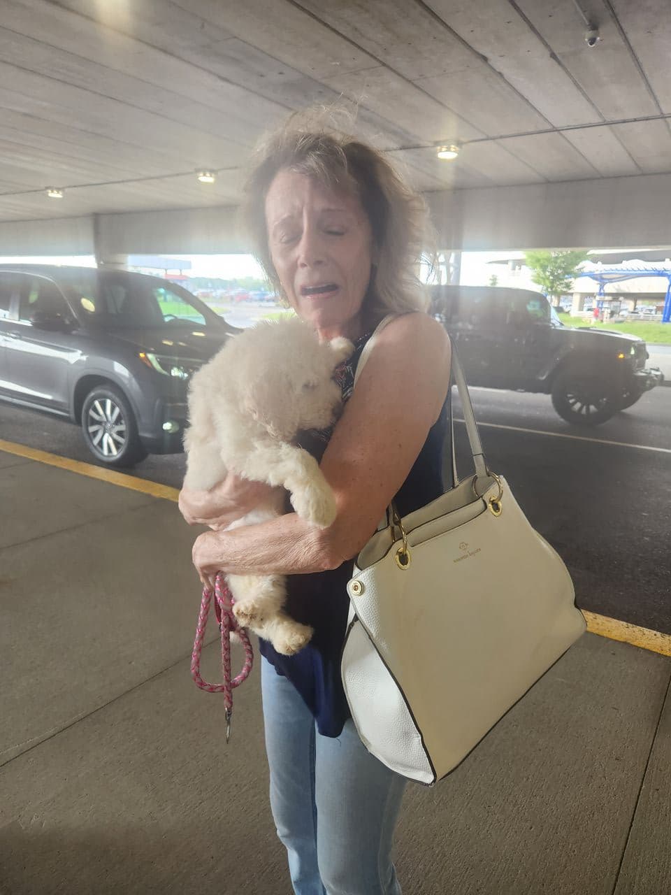 Pet travel photo 4