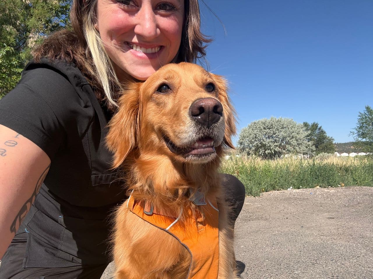 Pet travel photo 3