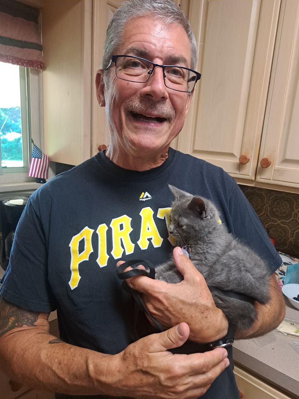 Pet travel photo 6