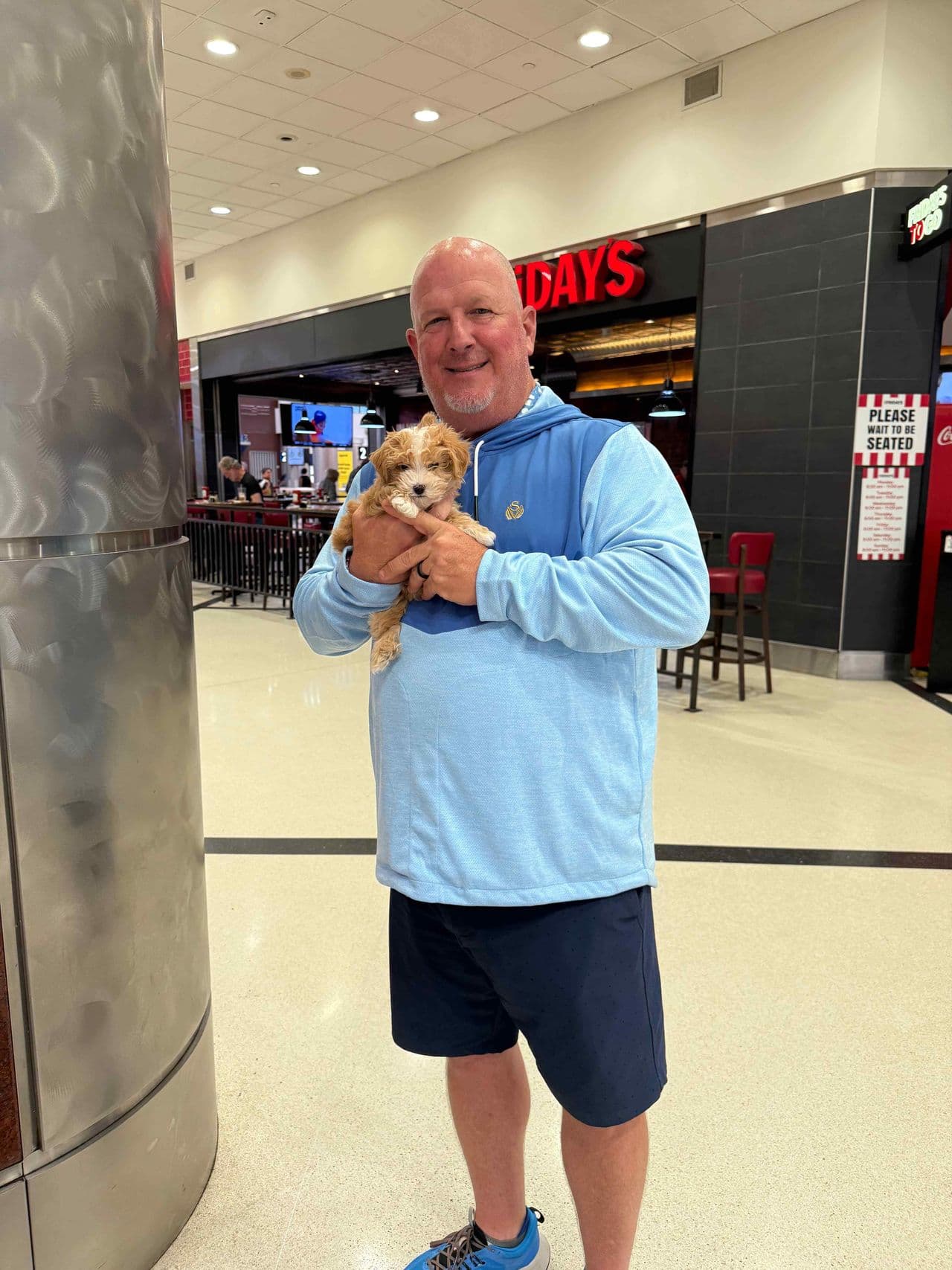 Pet travel photo 6