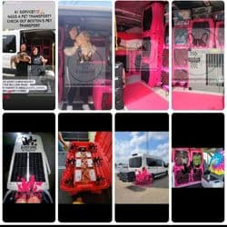 Boston's Pet Transport