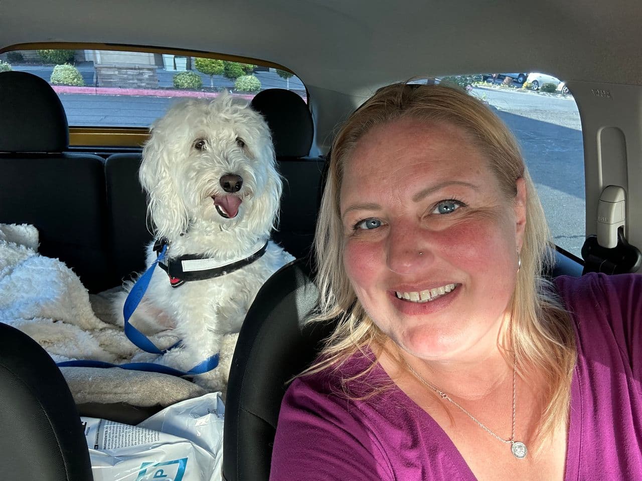 Pet travel photo 3