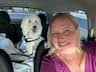 Pet Cab for Cutie