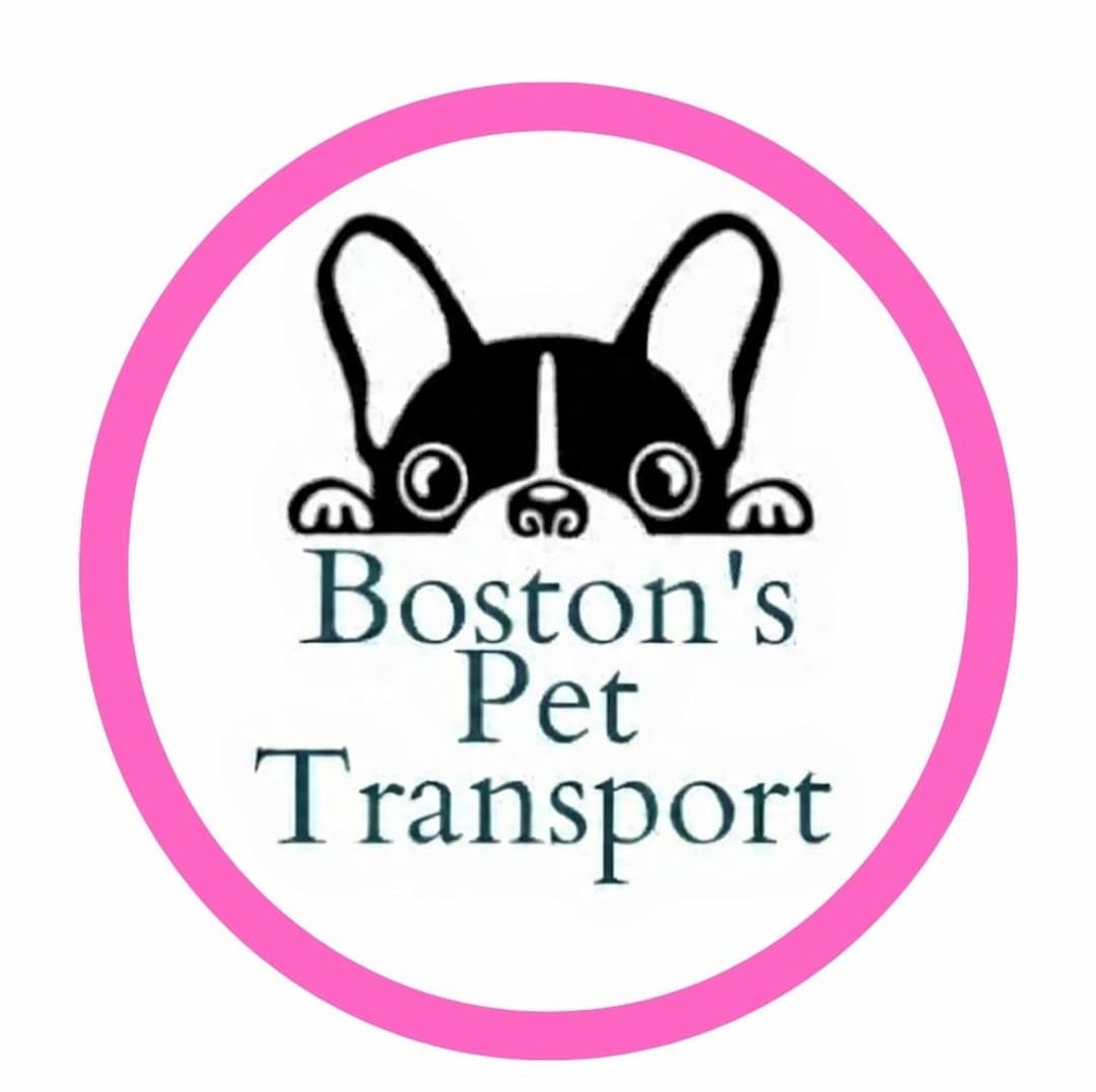 Boston's Pet Transport