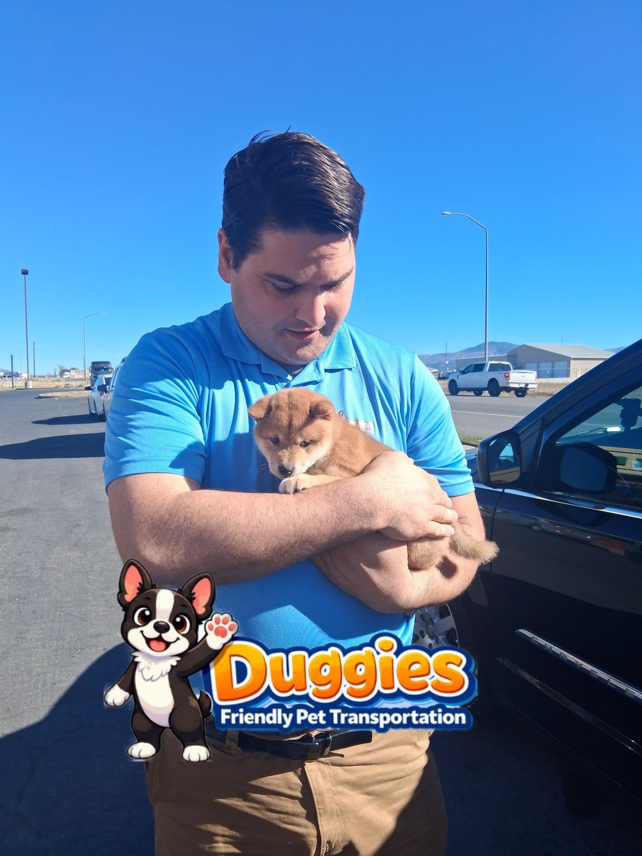 Pet travel photo 2