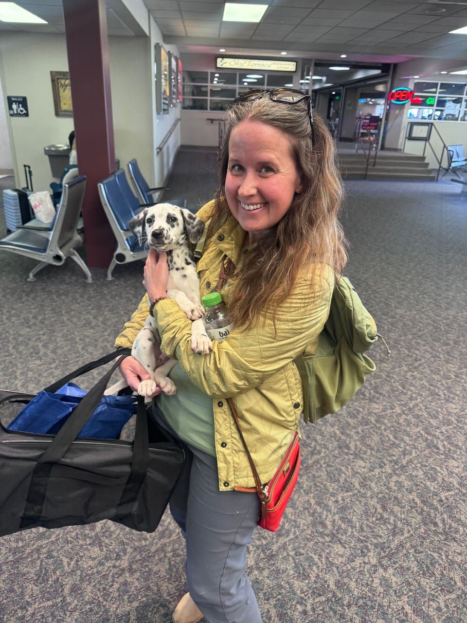 Pet travel photo 3