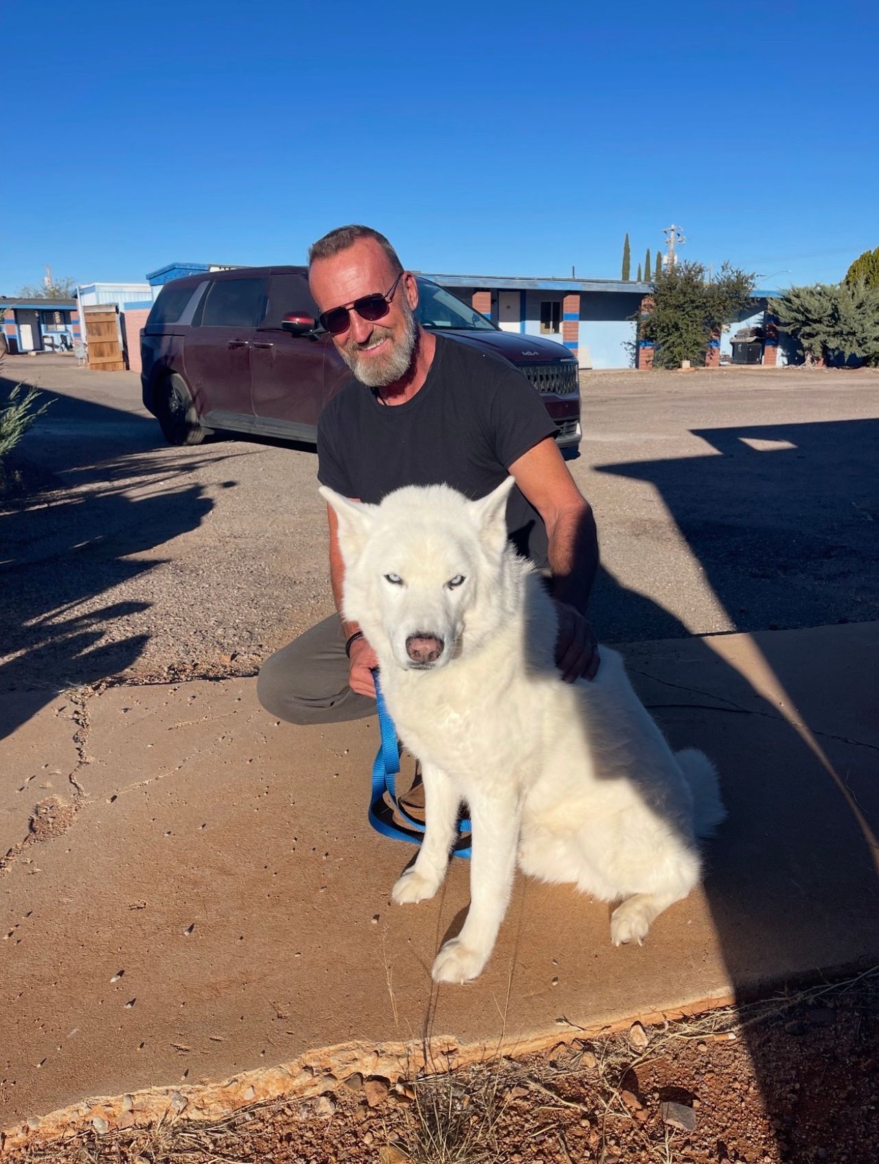 Pet travel photo 3