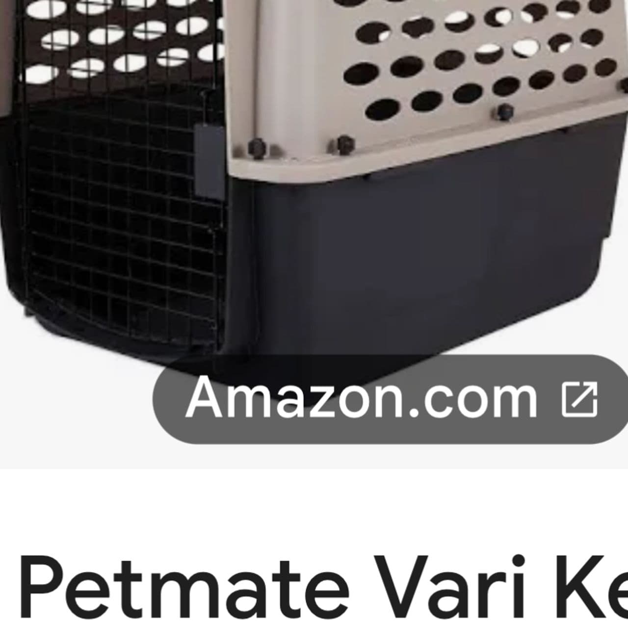Pet travel photo 3