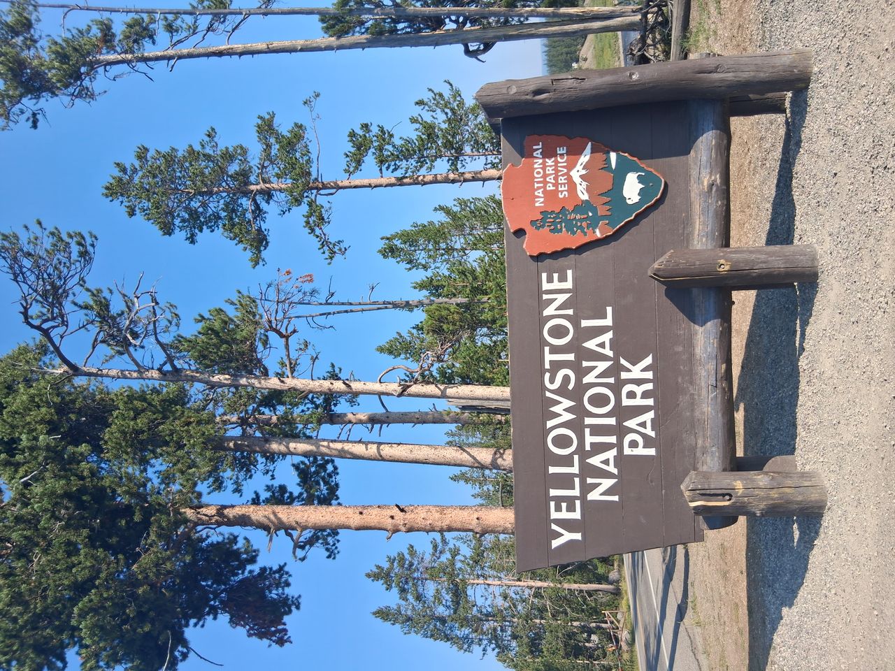 Pet travel photo 1