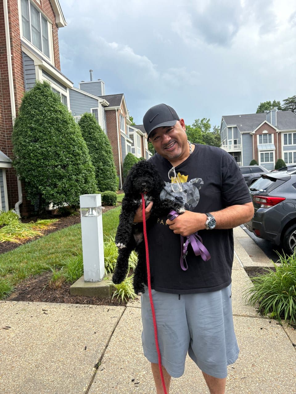 Pet travel photo 4