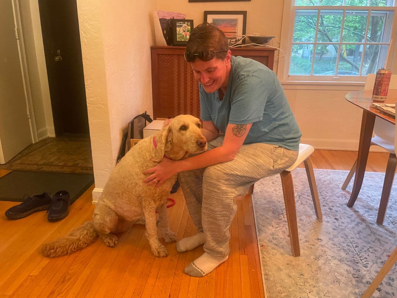 Pet travel photo 2