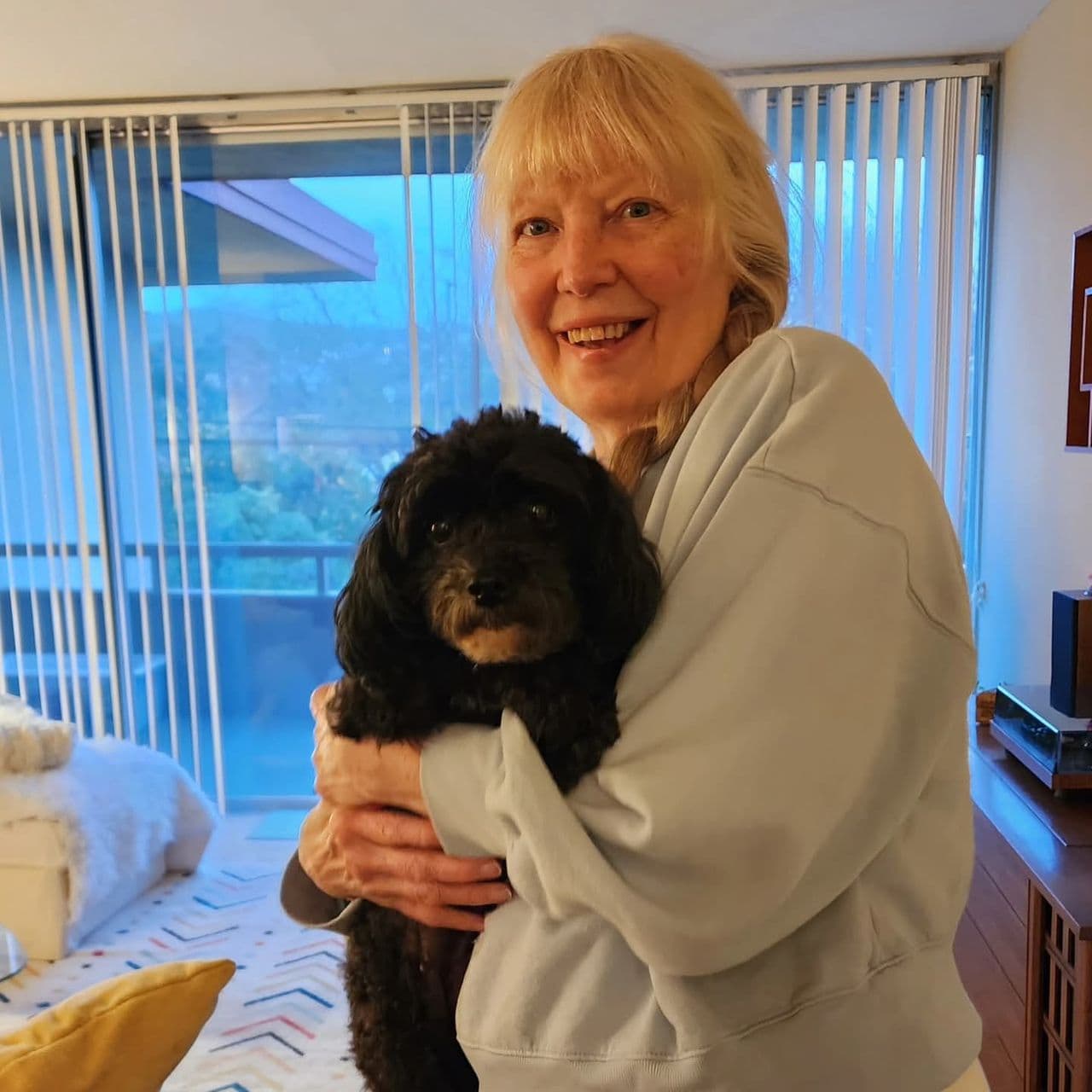 Pet travel photo 4