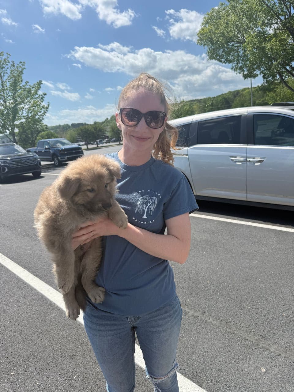 Pet travel photo 5