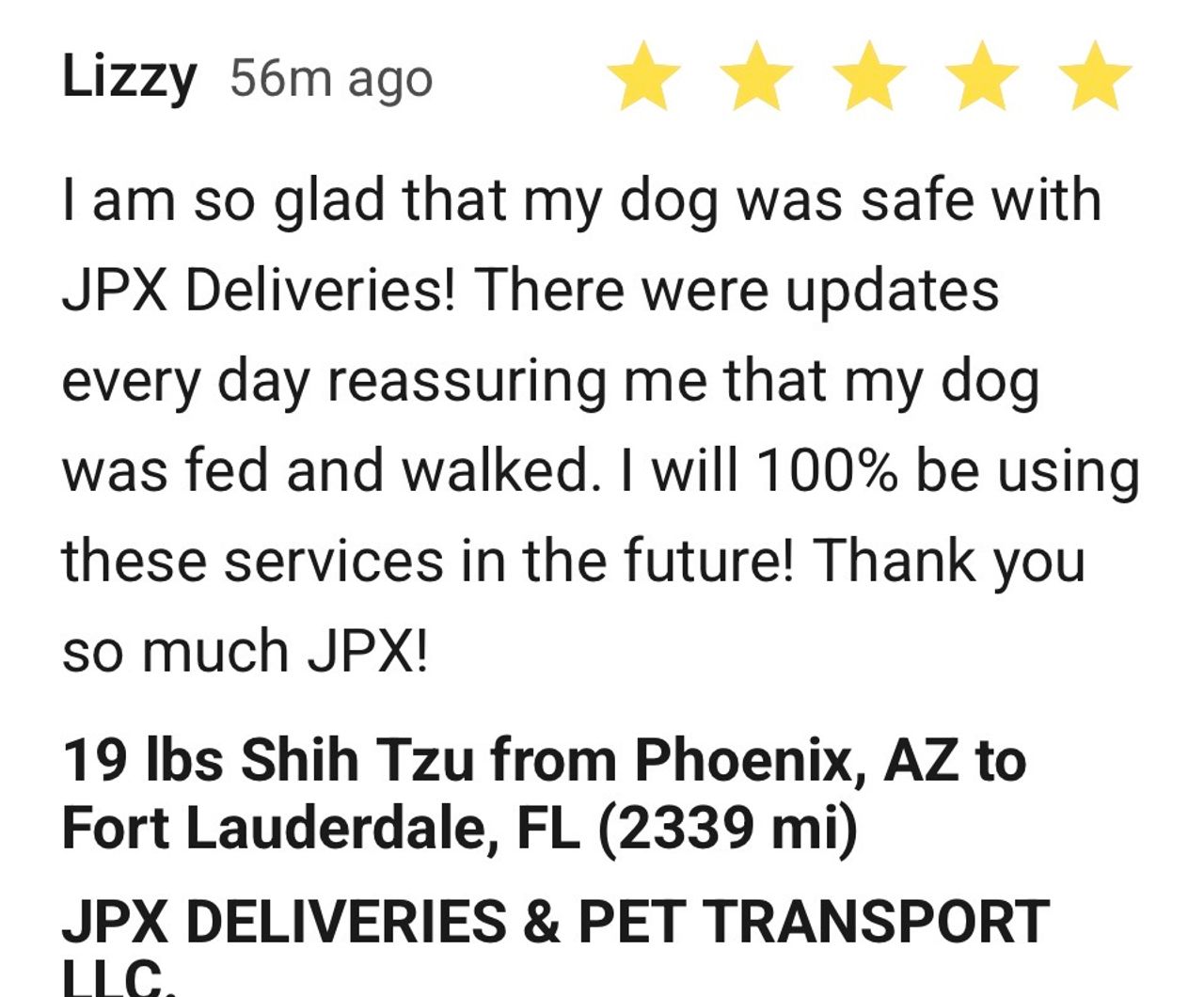 Pet travel photo 4