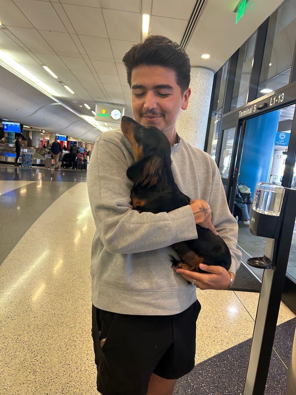 Pet travel photo 2