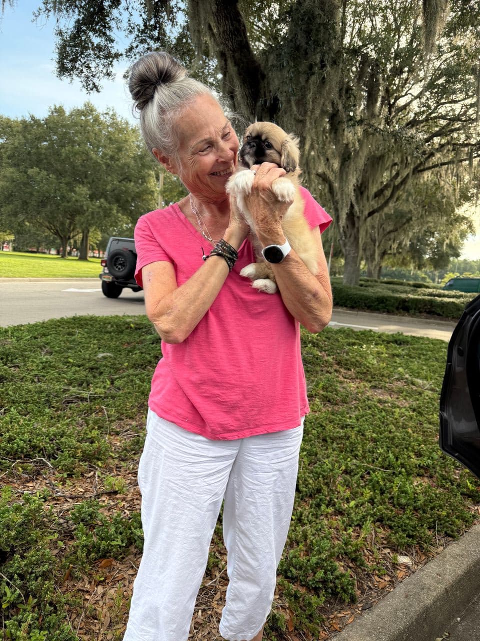 Pet travel photo 1