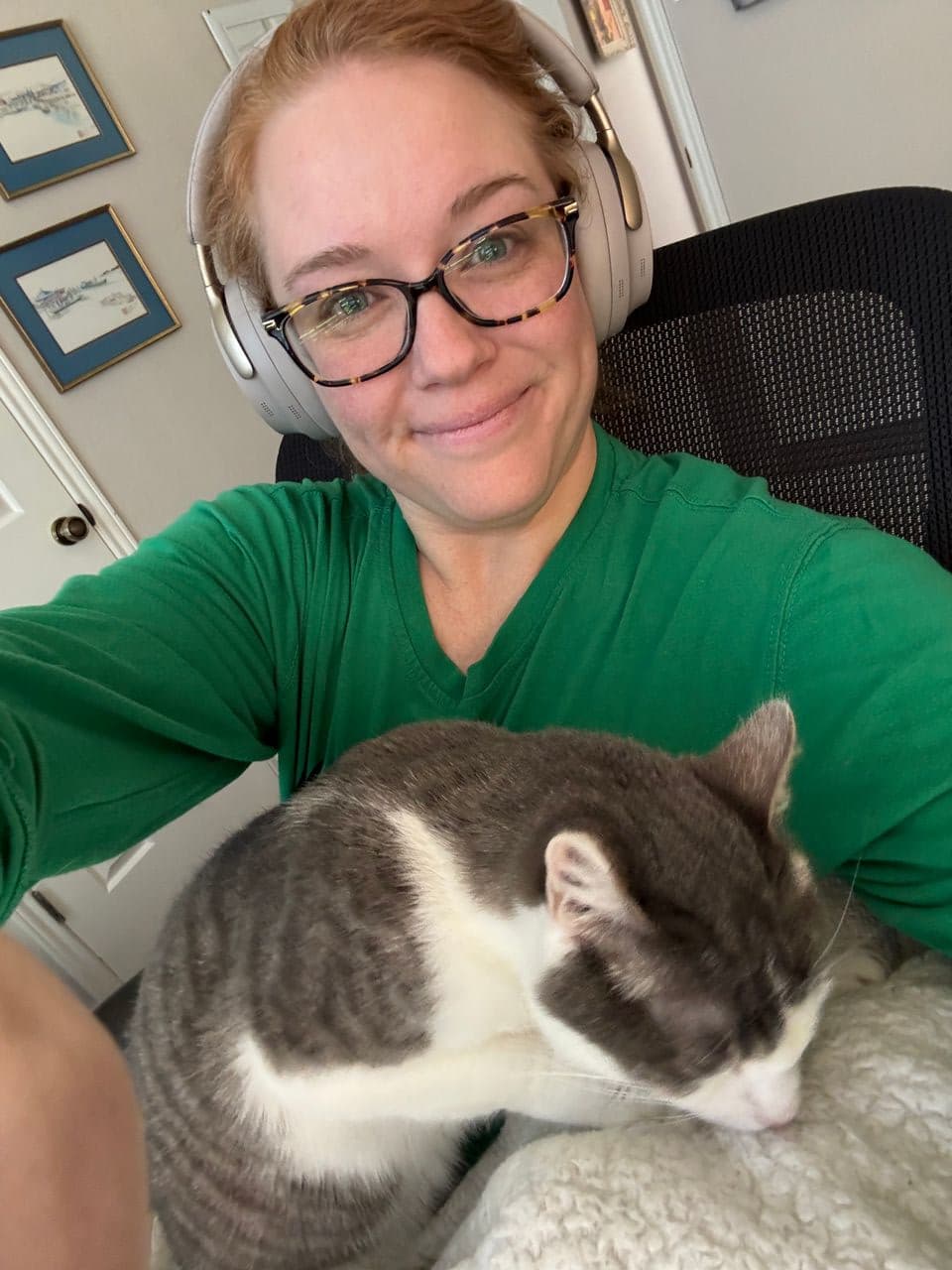 Four Winds Pet Concierge | Air & Ground Transport