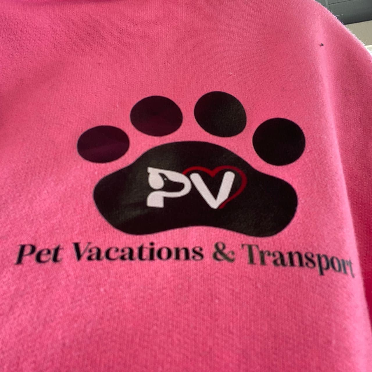 Pet travel photo 4