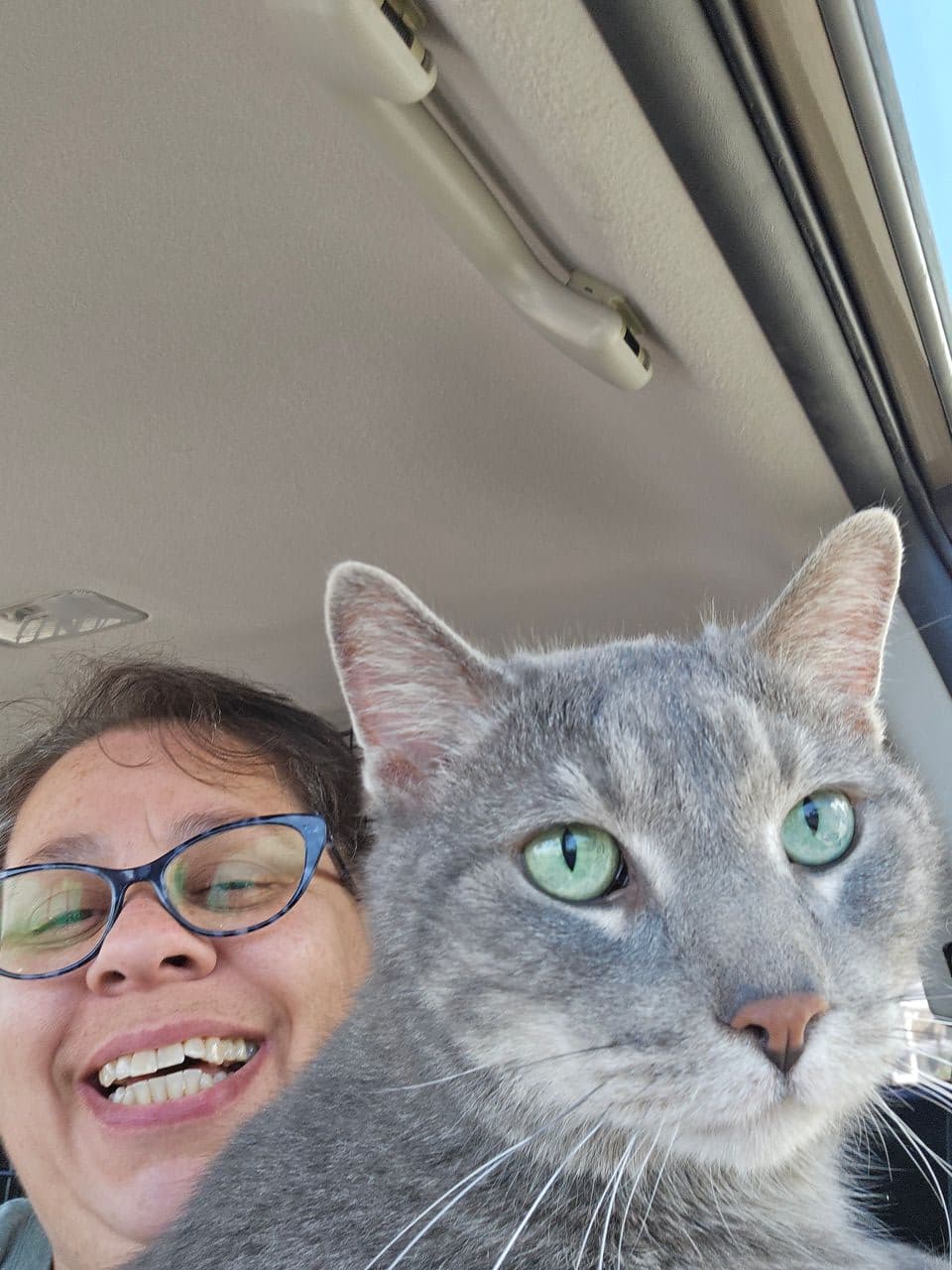 Pet travel photo 3