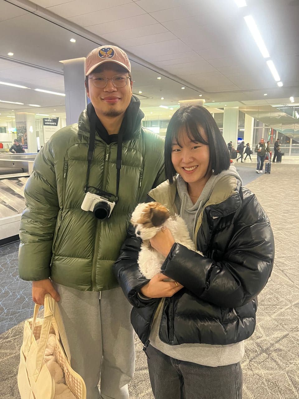 Pet travel photo 2