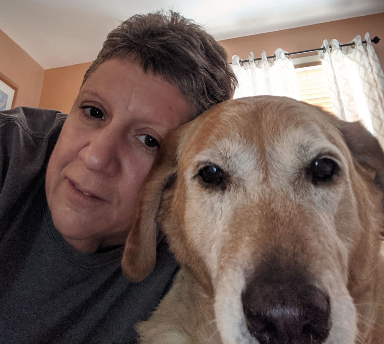 Pet travel photo 3