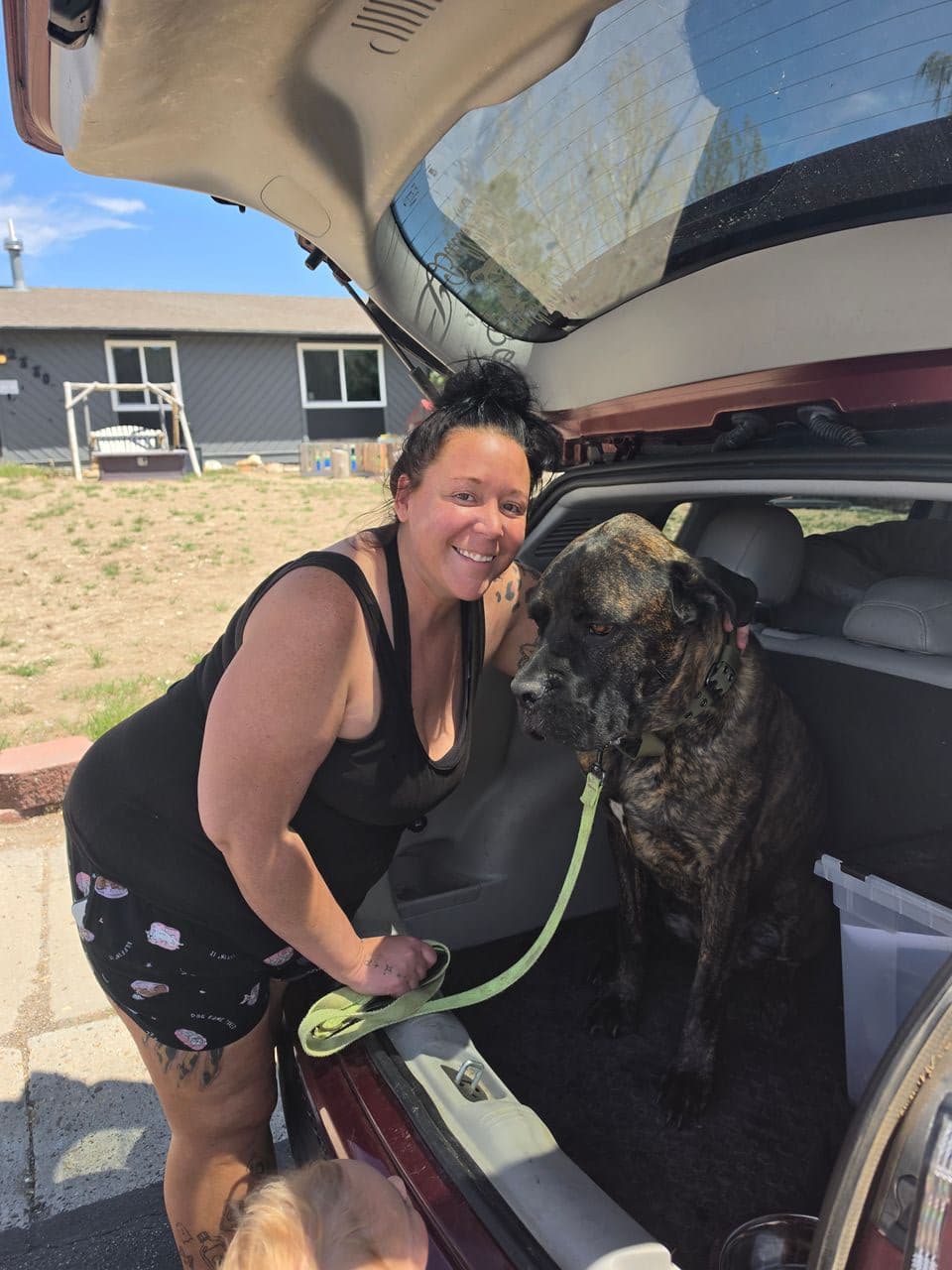 Pet travel photo 3