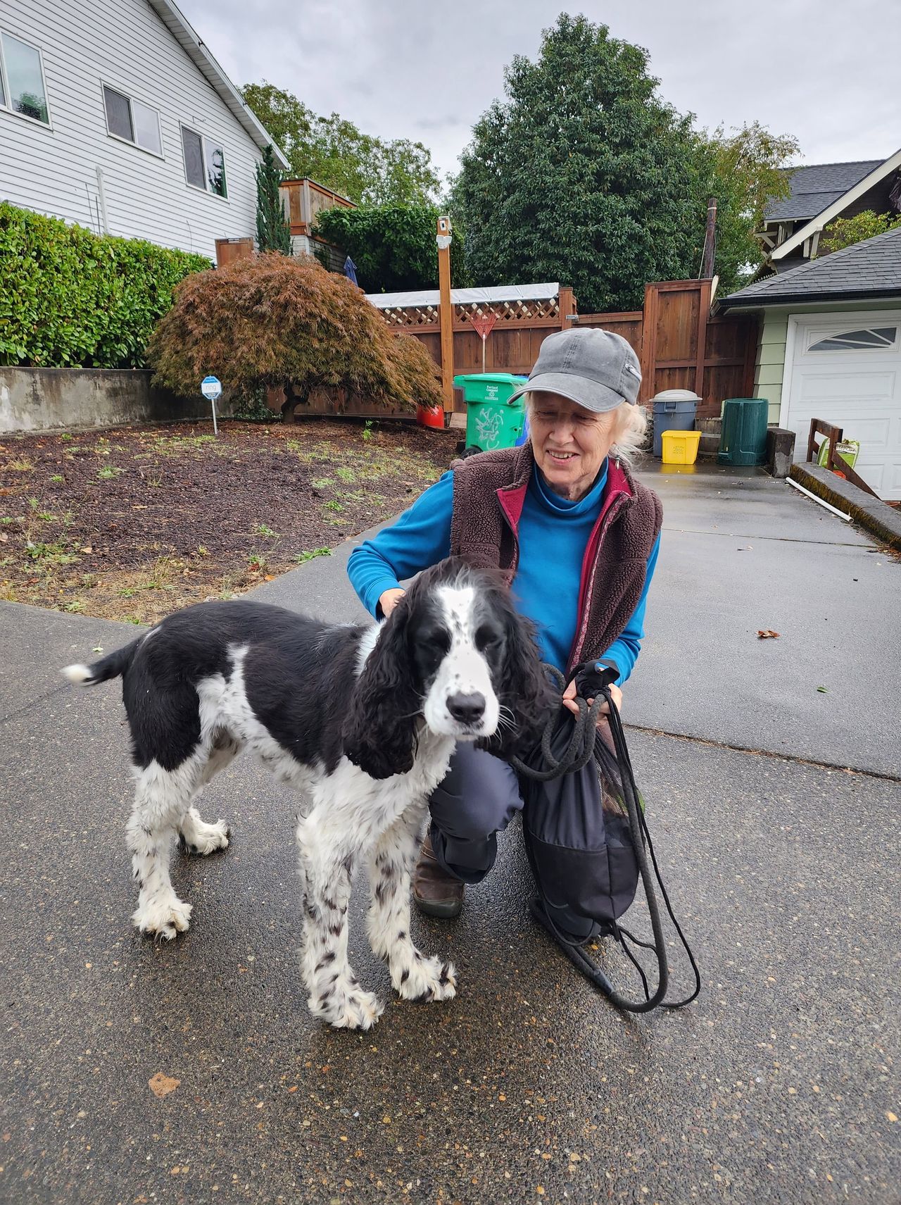 Pet travel photo 3