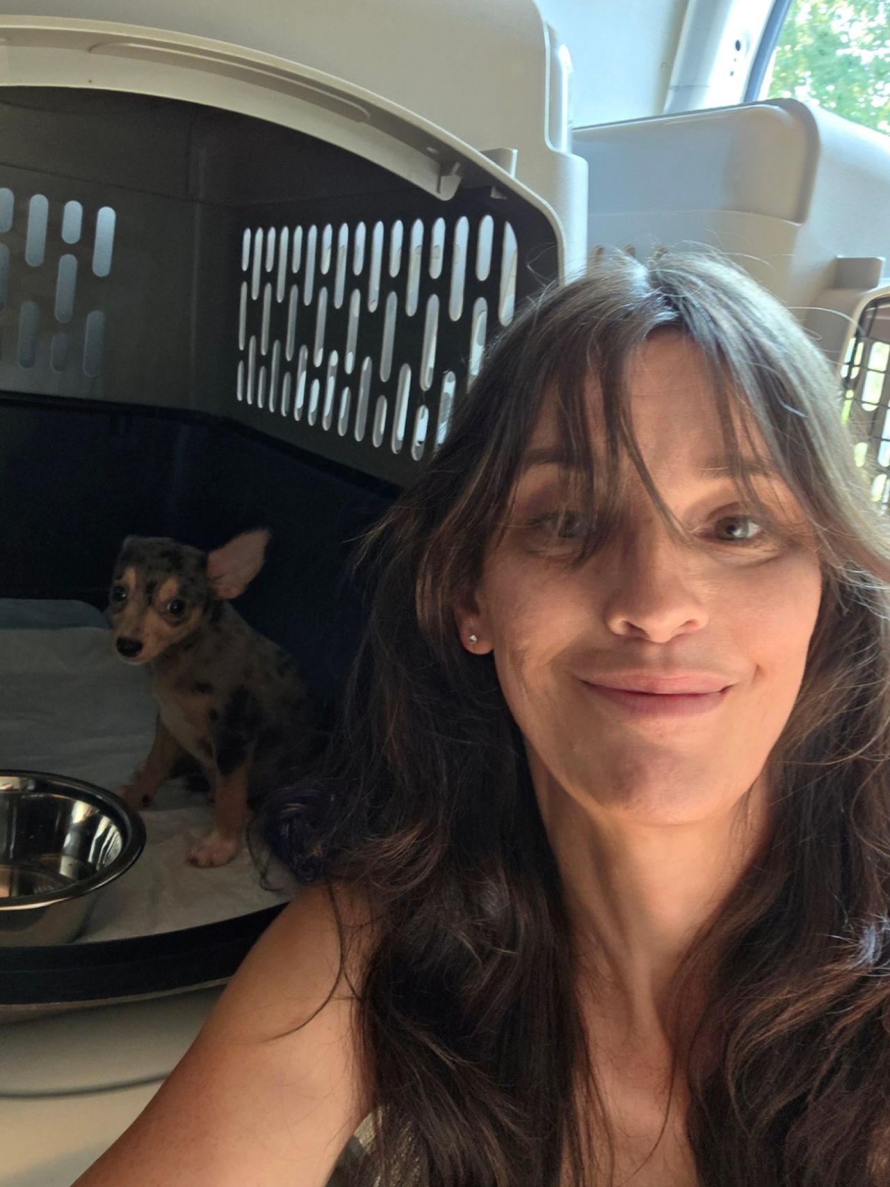 Pet travel photo 1