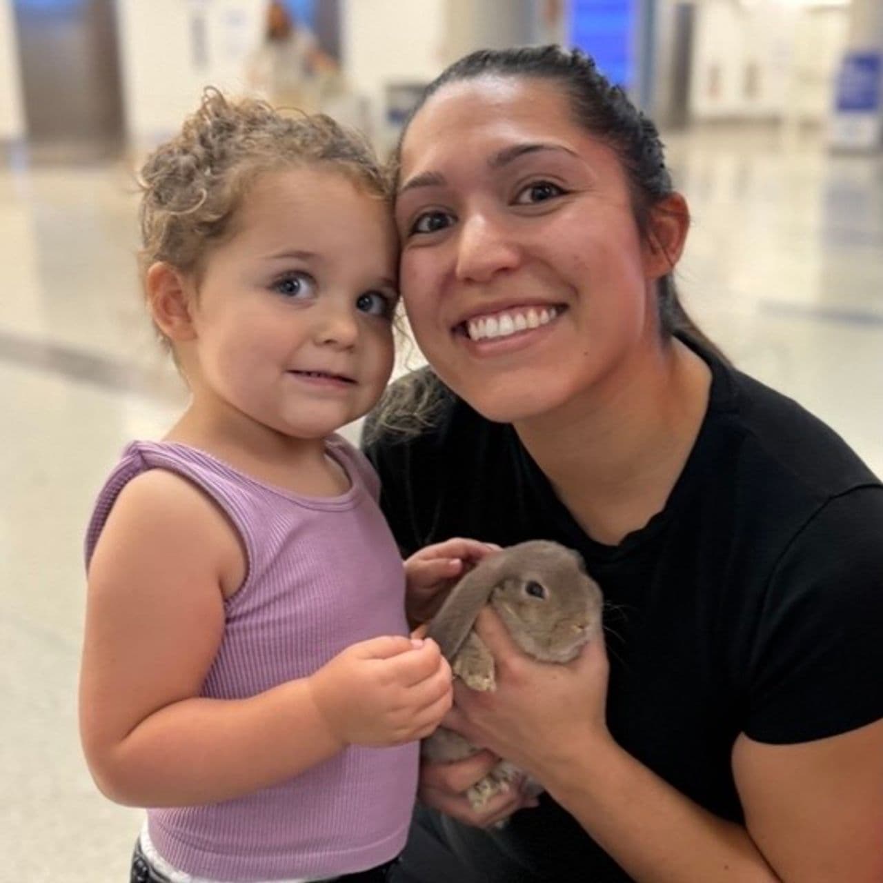 Pet travel photo 1