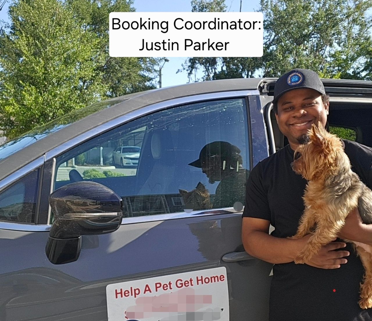 Pet travel photo 1