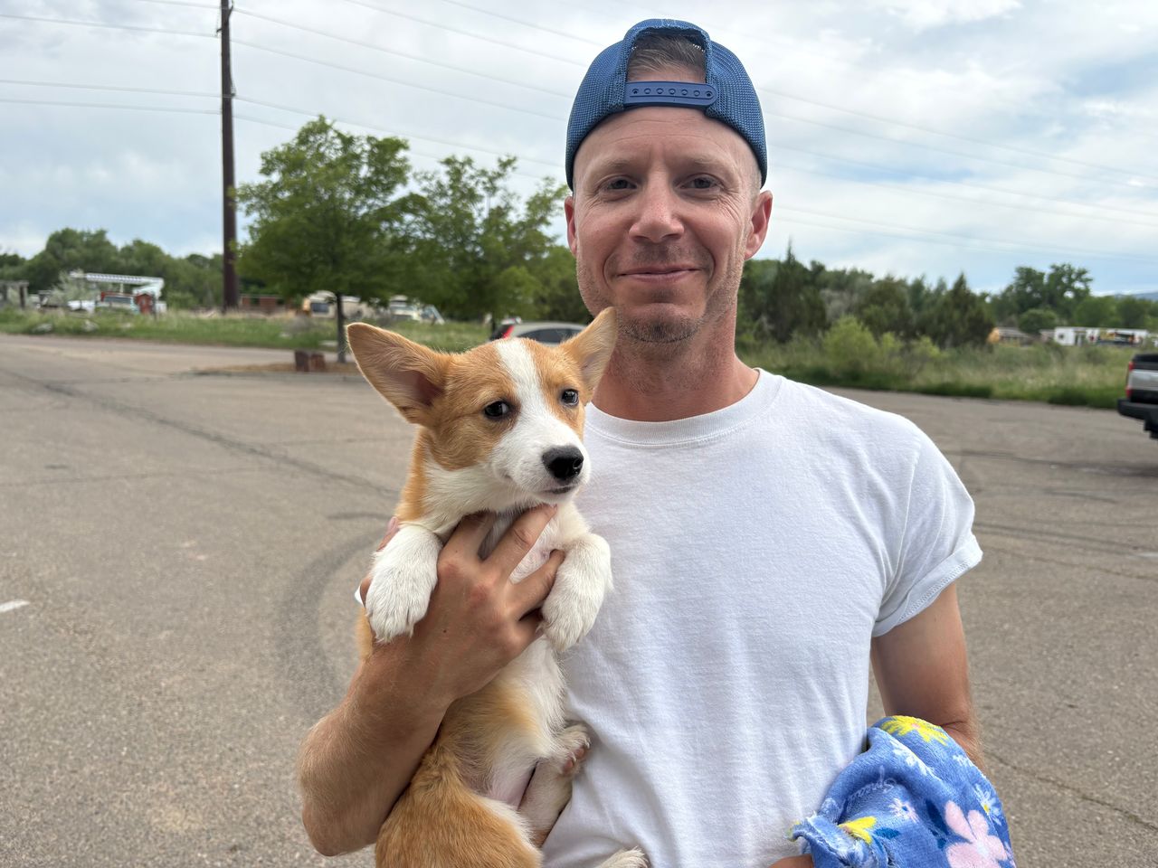 Pet travel photo 3