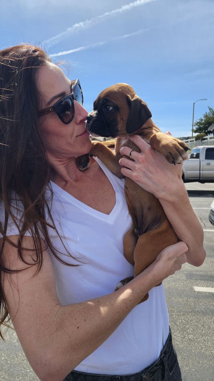 Pet travel photo 4