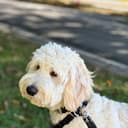 Quincy, WA reviews
