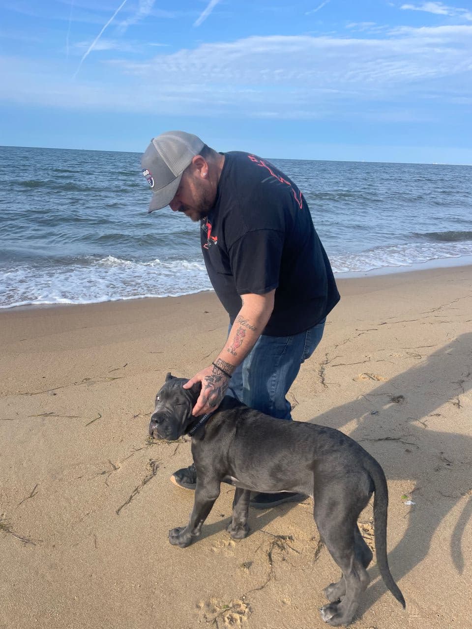 Pet travel photo 5