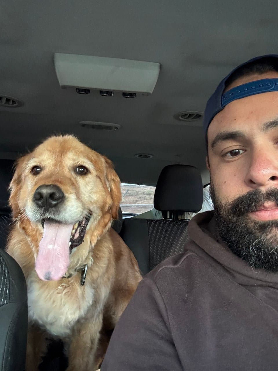 Pet travel photo 1