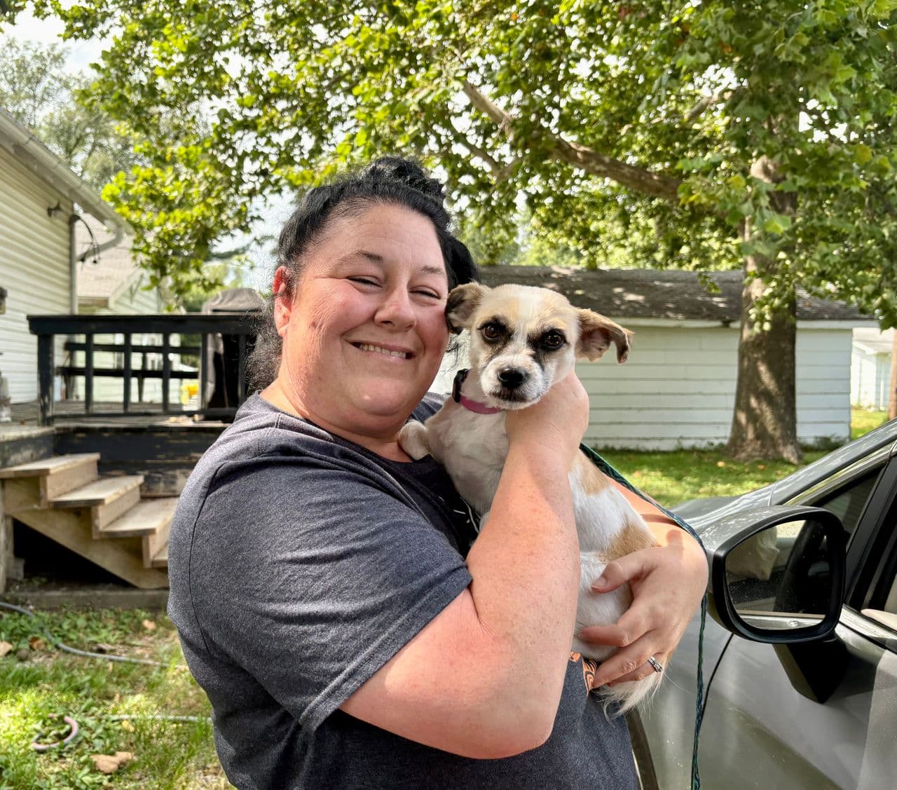 Pet travel photo 2