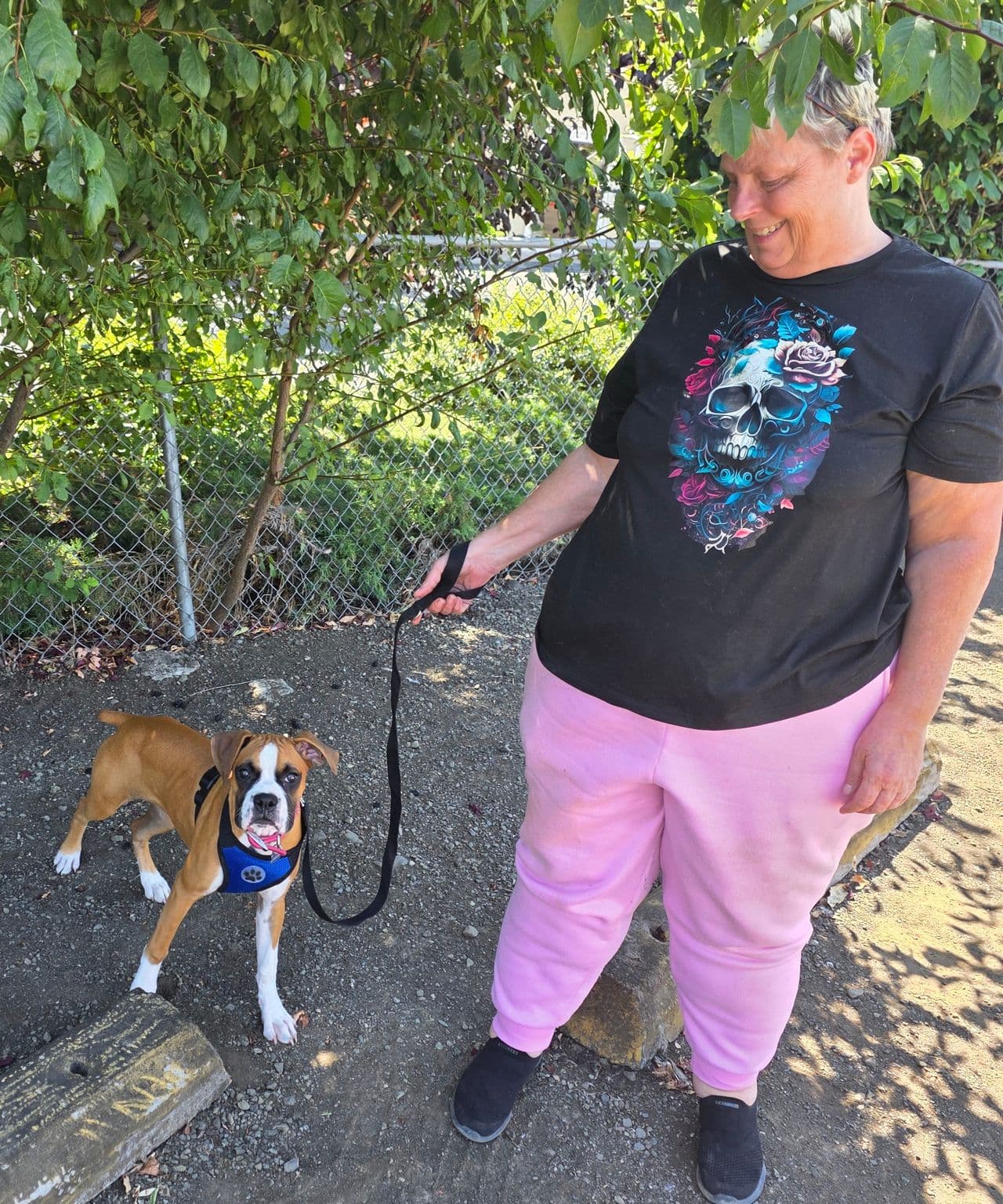 Pet travel photo 1