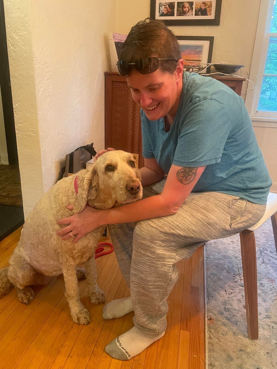 Pet travel photo 4