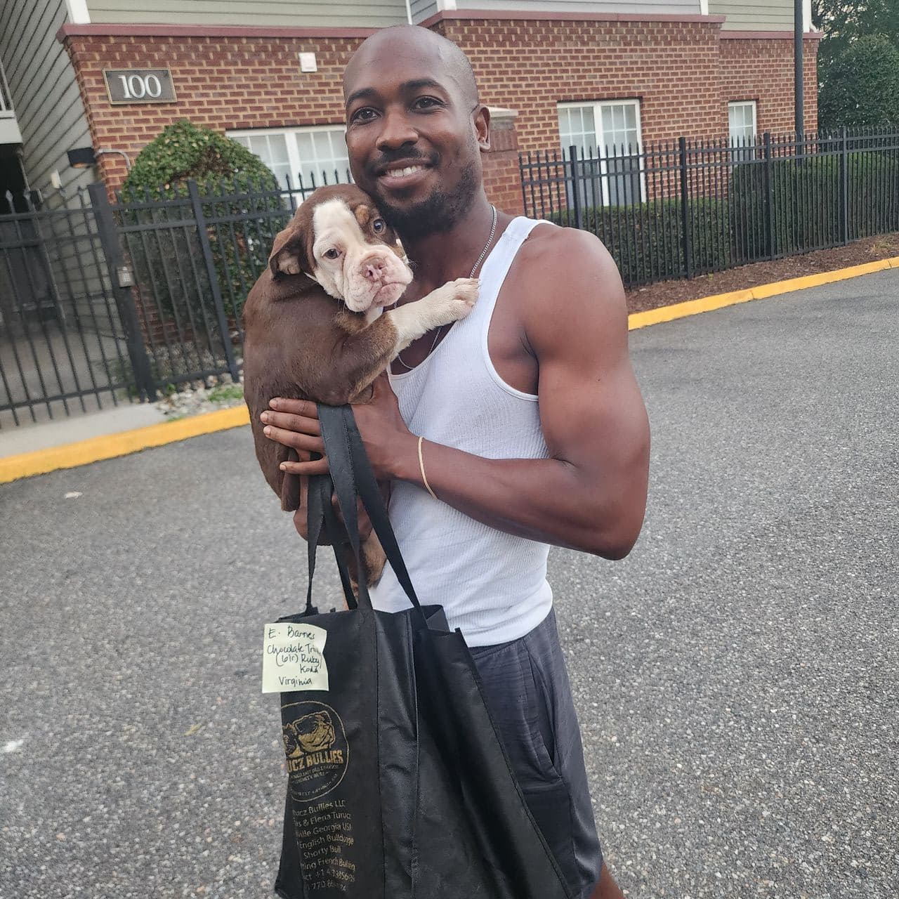 Pet travel photo 6