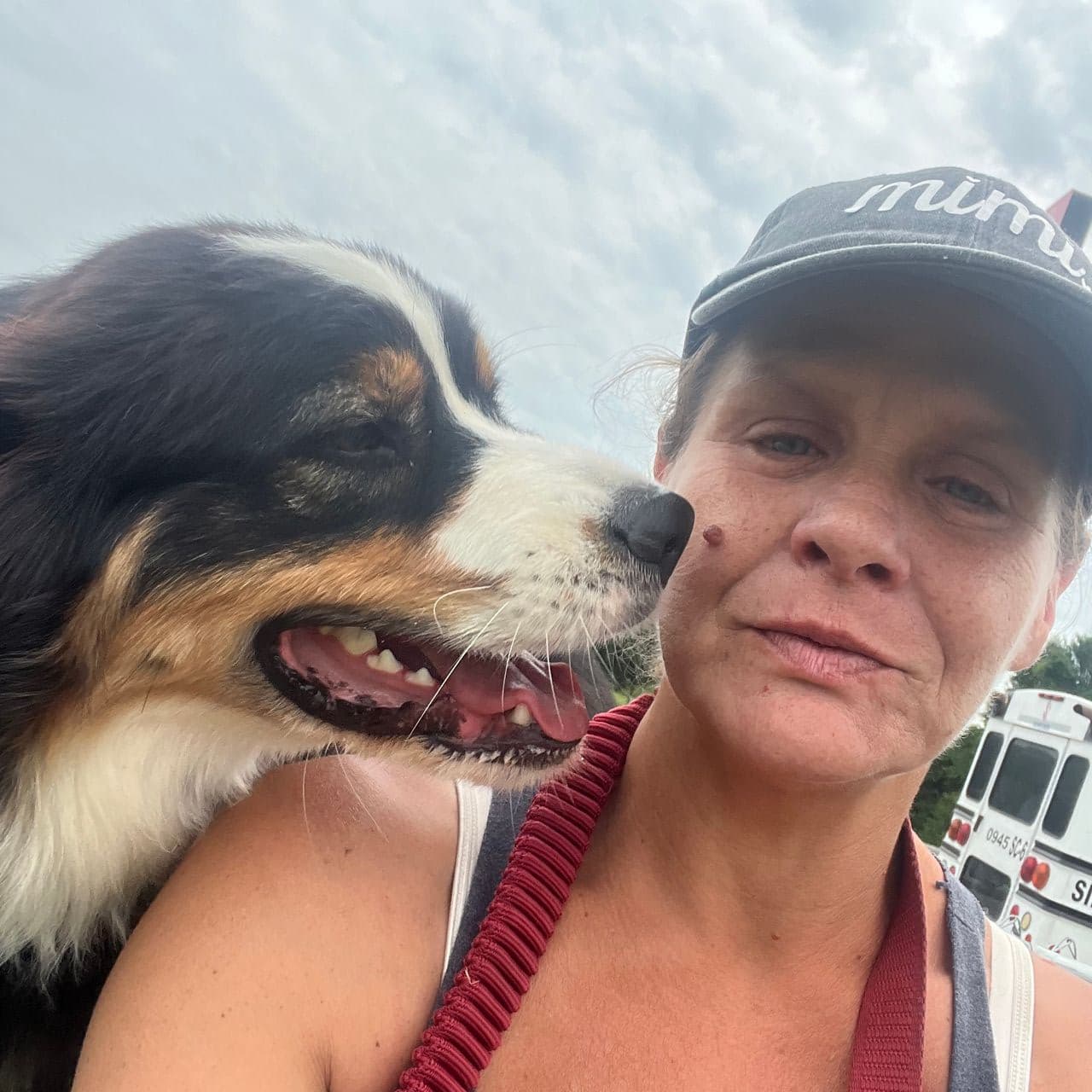 Pet travel photo 6