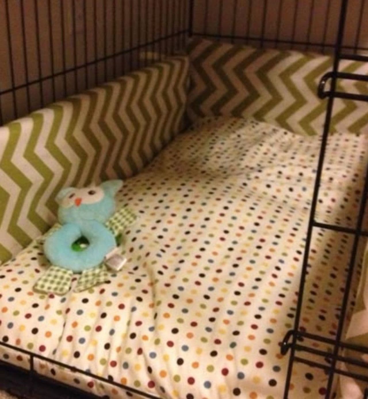 Pet travel photo 3