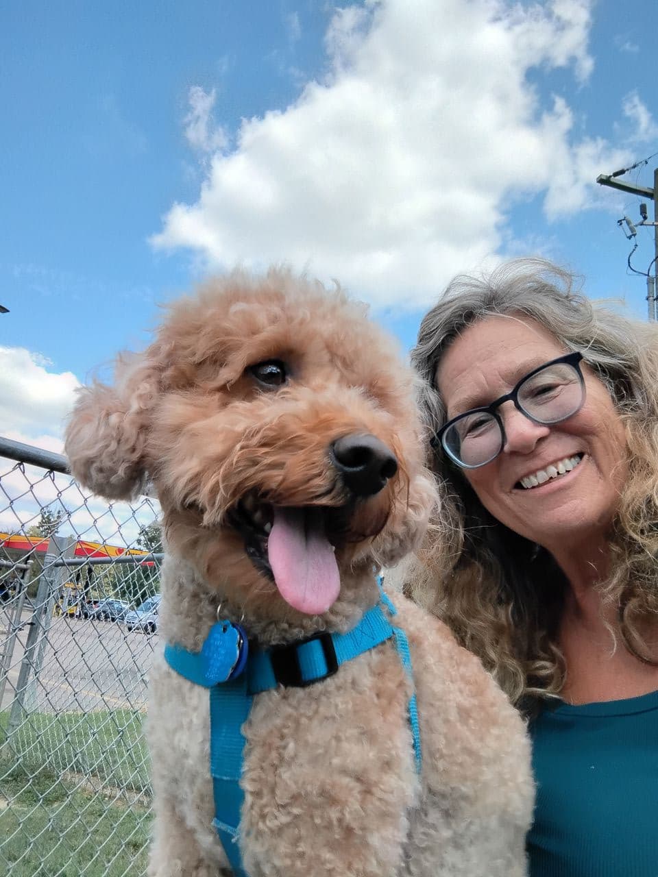 Pet travel photo 5