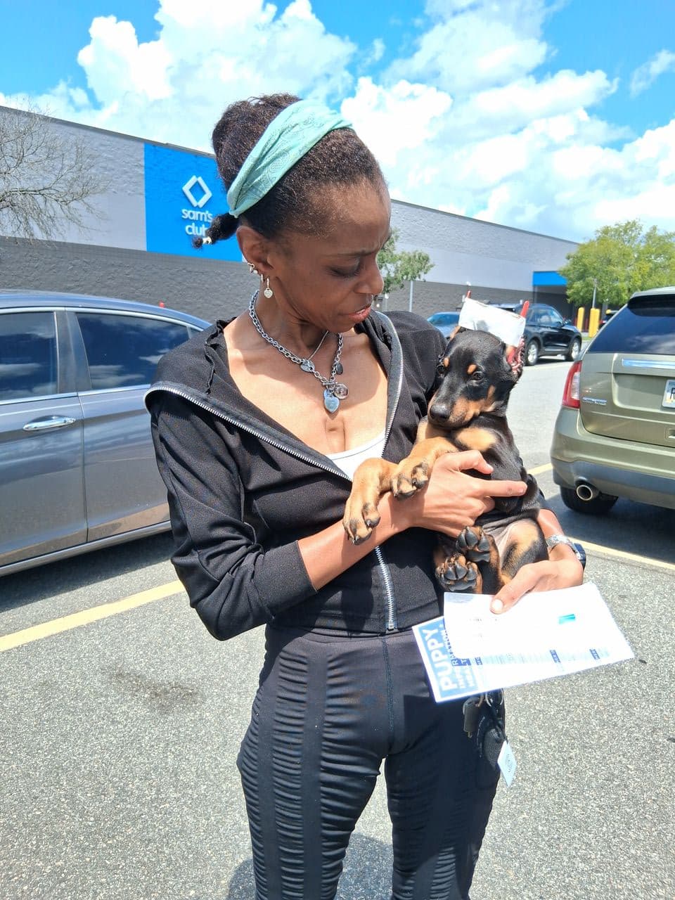 Pet travel photo 6