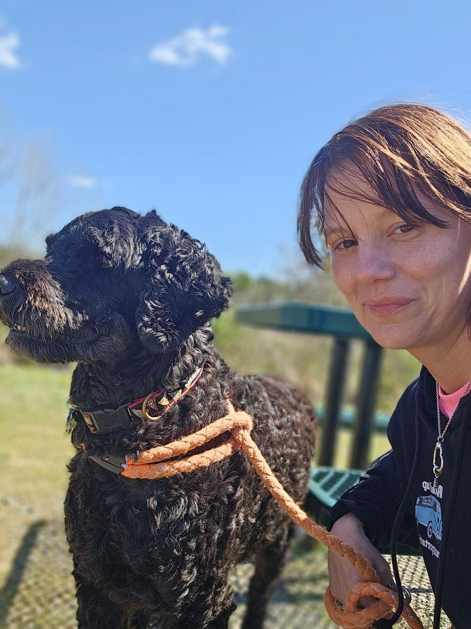 Pet travel photo 1