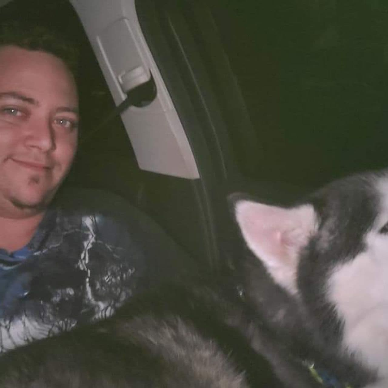 Pet travel photo 4