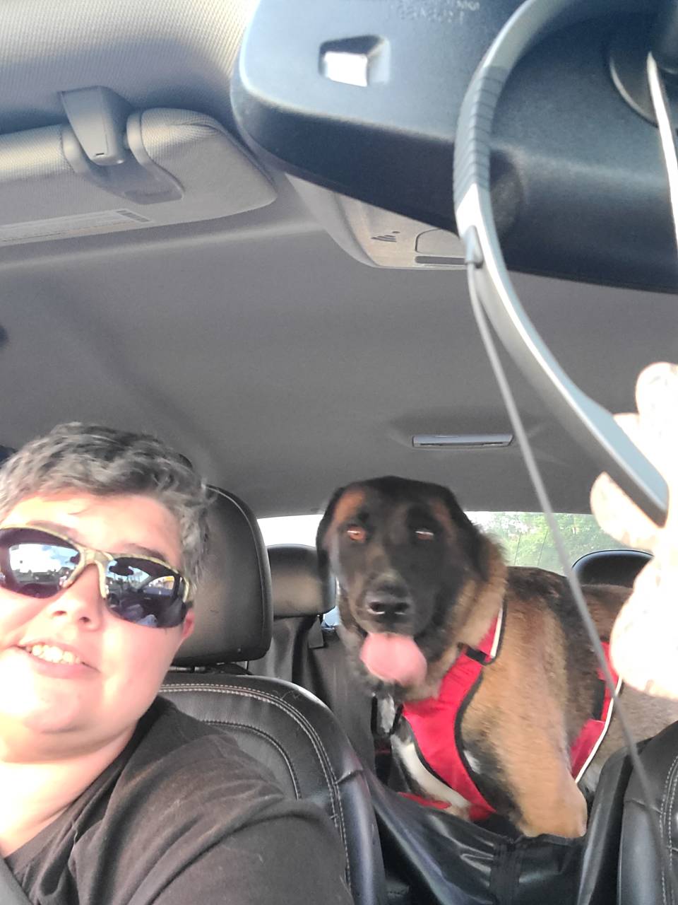 Gentle Pet Transportation 